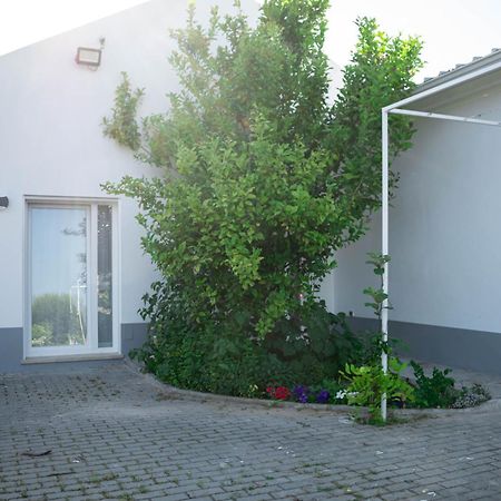 Hotel Alojamento Moinho D'Óbidos Exteriér fotografie